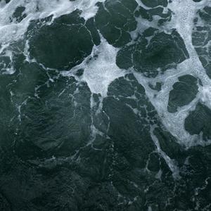 中文字幕制服丝袜
